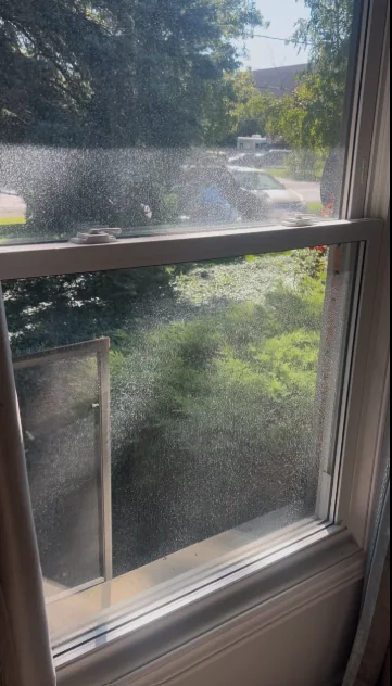 Window glass before professional cleaning